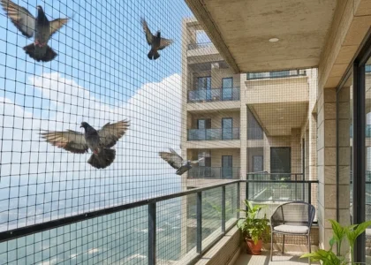 Pigeon protection net installed on an apartment balcony in Pune